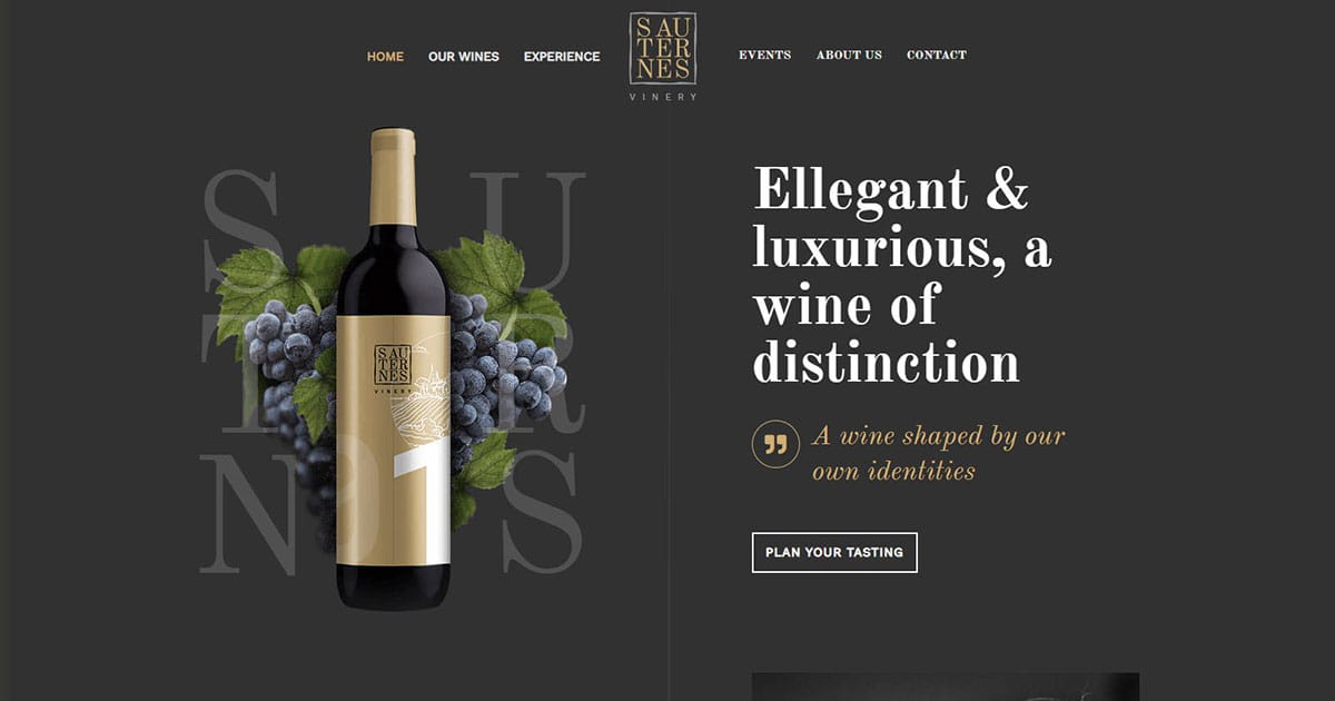 Business website project