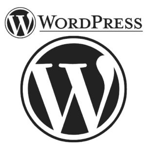 Website Design In Patna